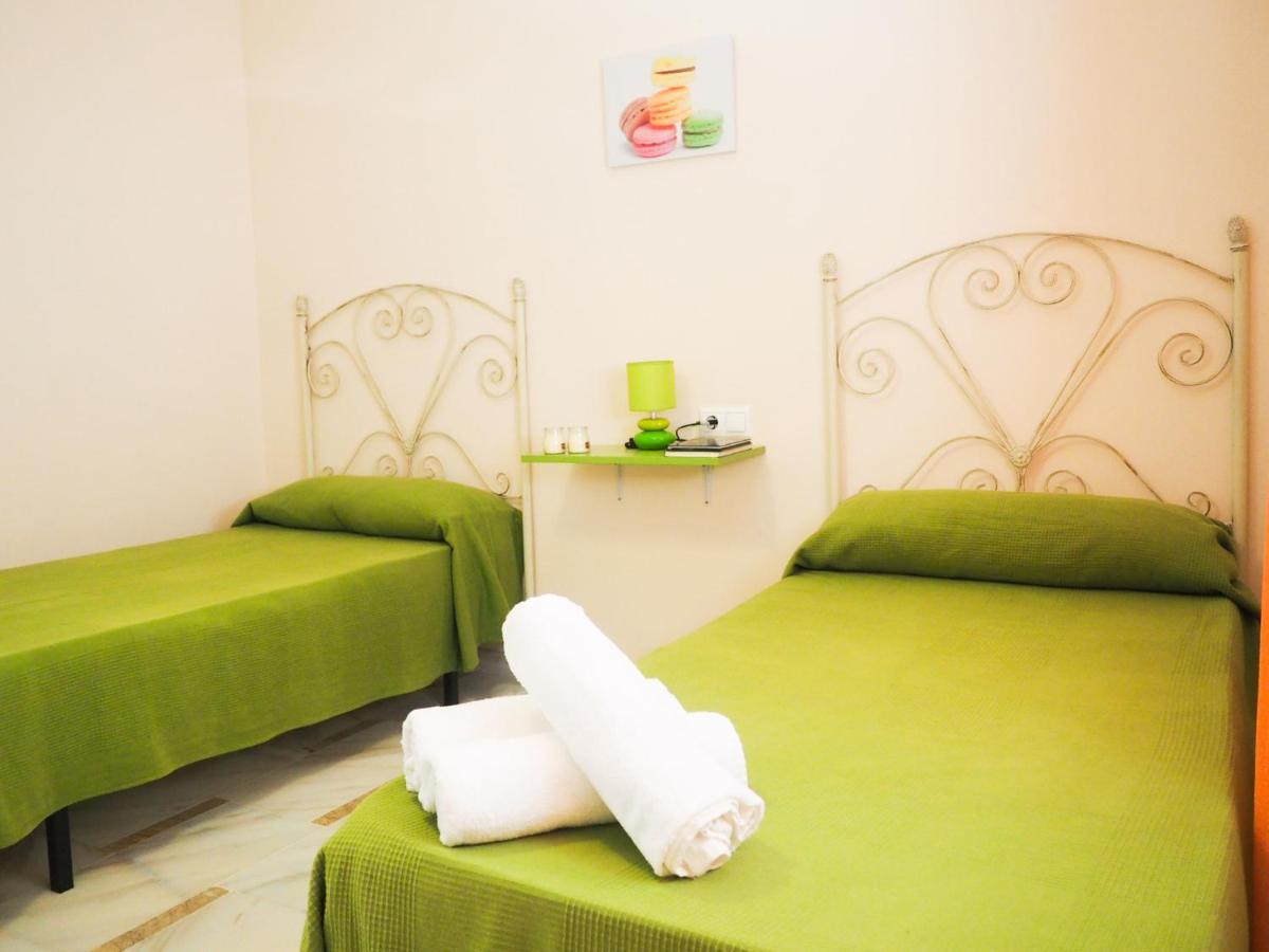 Conilplus San Ignacio Apartment